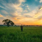 Sonhar com boiada correndo atrás de mim